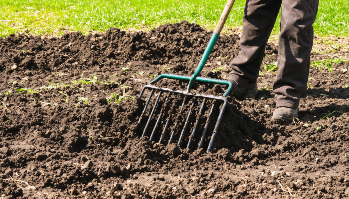 découvrez le moment idéal pour appliquer du fumier et optimiser la croissance de votre jardin. nos conseils pour un sol fertile et des plantations florissantes toute l'année.
